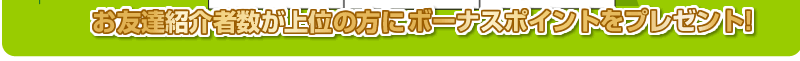 ボーナスポイント