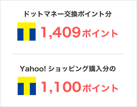 ドットマネー交換ポイント分1,409ポイントとYahoo!ショッピング購入分の1,100ポイント