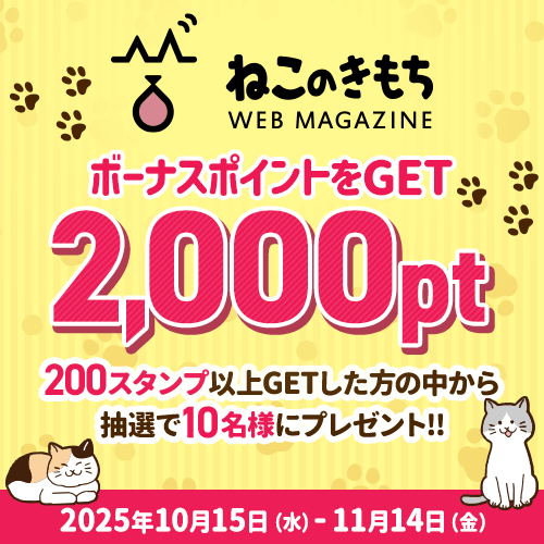 ねこのきもち