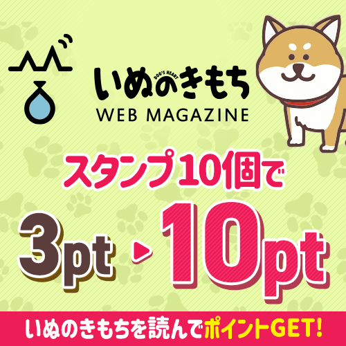 いぬのきもち記事を読んでためる♪