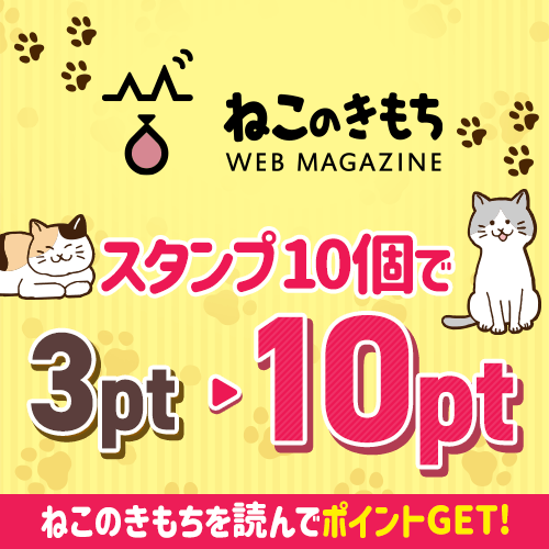ねこのきもち