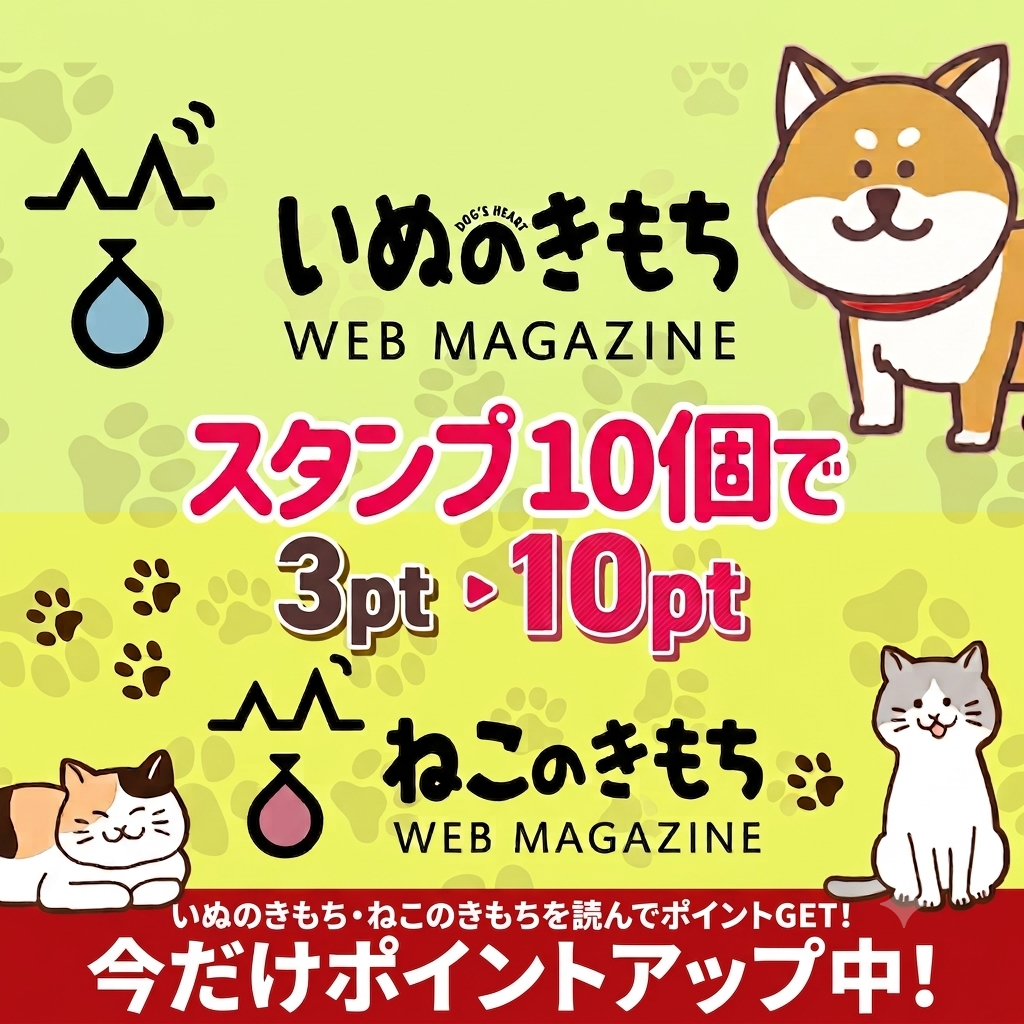 いぬ&ねこのきもち記事を読んでためる♪