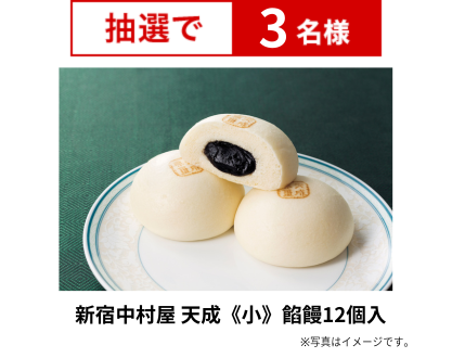 新宿中村屋 天成《小》餡饅12個入