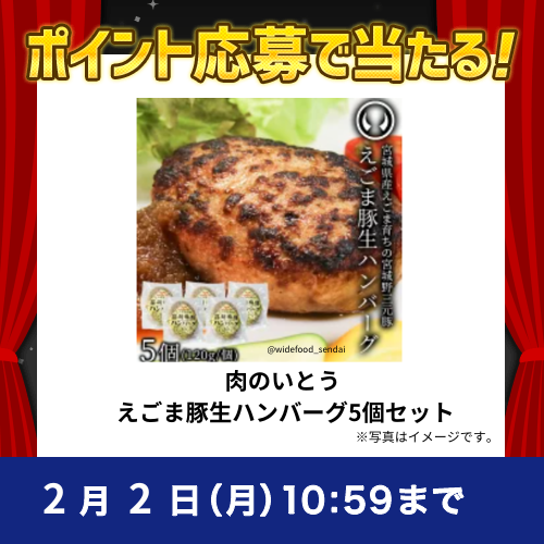 2026年1月ポイントで応募キャンペーン②(肉のいとう えごま豚生ハンバーグ5個セット)
