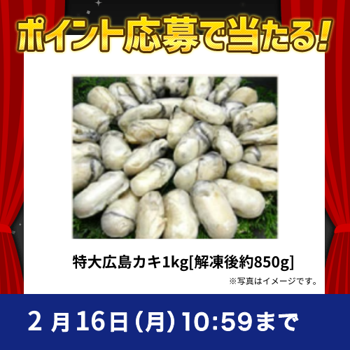 2026年2月ポイントで応募キャンペーン①(特大広島カキ1kg[解凍後約850g])