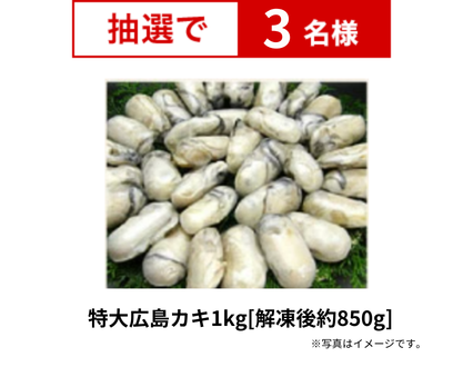 特大広島カキ1kg[解凍後約850g]