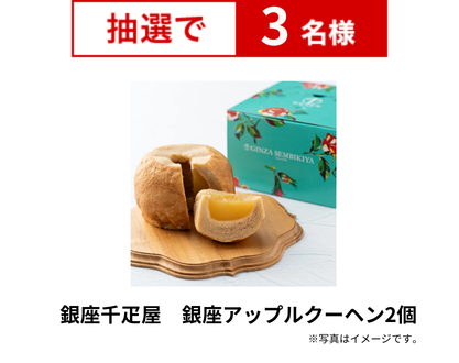 銀座千疋屋 銀座アップルクーヘン2個
