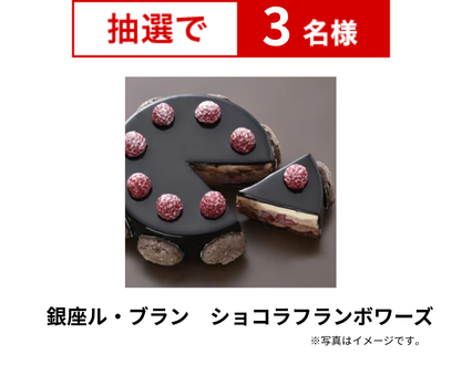 銀座ル・ブラン　ショコラフランボワーズ