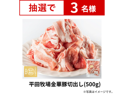 平田牧場金華豚切出し(500g)