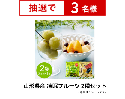 山形県産 凍眠フルーツ 2種セット