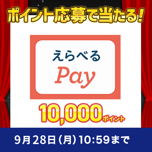 2026年9月ポイントで応募キャンペーン②-B　選べるPay 10,000ポイント