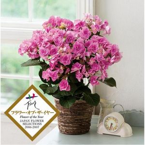 めざましテレビで紹介されたお花 無料懸賞 プレゼントキャンペーンならチャンスイット