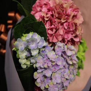 めざましテレビで紹介されたお花 無料懸賞 プレゼントキャンペーンならチャンスイット