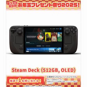 Steam Deck 512GB 治る 充電器＆SDカード512GB＆ankerHUB