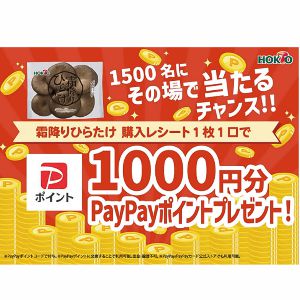 PayPayポイント1,000円分