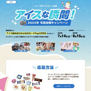 アイス詰め合わせ、QUOカードPay　他