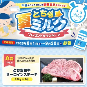 とちぎ和牛サーロインステーキ200g×2枚　他