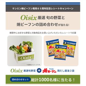 Oisix旬野菜と焼ビーフンの詰め合わせ