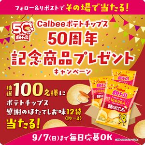 ポテトチップス感謝のほたてしお味 12袋
