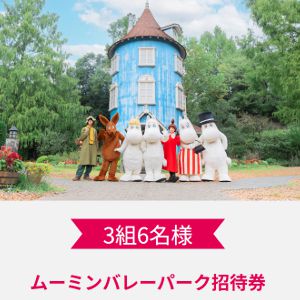 ムーミンバレーパーク 1デーパス　他