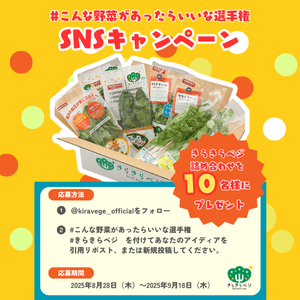 きらきらベジ野菜セット