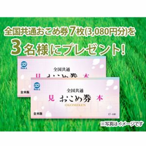 全国共通おこめ券7枚(3,080円分)