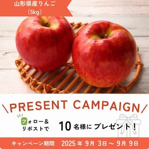 山形県産りんご（5kg）