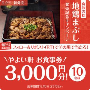 やよい軒お食事券3,000円分