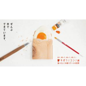 福岡市科学館「キボリノコンノ展」招待券