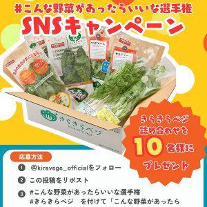 きらきらベジ野菜セット