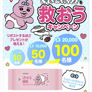 流せるミニウェットシート