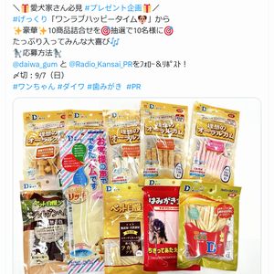 犬用歯みがきおやつ10商品詰め合わせ