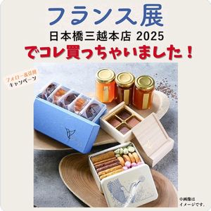 【専用①】 プロモ 色違い 懸賞 プレゼントキャンペーン 3枚セット 1141695436.jpg?1613044405