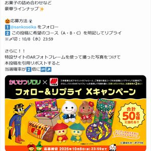 かいけつゾロリのグッズ　他