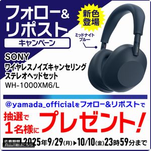 SONY ステレオヘッドセット