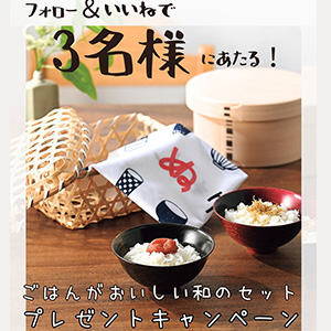 ごはんがおいしい和のごはんセット