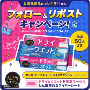 キレキラ®！ドライ×ウエットシート
