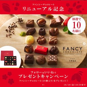 ファンシーチョコレート（20個入り）