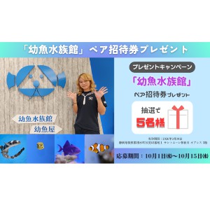 【静岡県】「幼魚水族館」ペア入館チケット