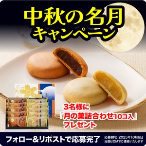 月の菓詰合わせ 10コ入