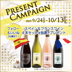 スペイン＆フランスワイン4本セット