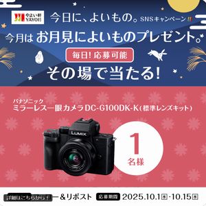 パナソニック ミラーレス一眼カメラ