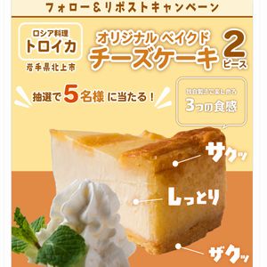 トロイカ ベイクドチーズケーキ2ピース