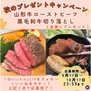 山形牛ローストビーフ、黒毛和牛切り落としセット