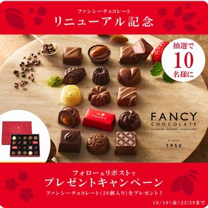 ファンシーチョコレート（20個入り）