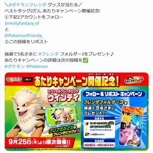 ポケモン フレンダ フォルダー3