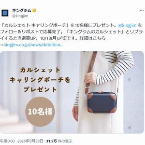 カルシェット キャリングポーチ