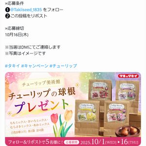 チューリップの球根 8球入り×4色セット