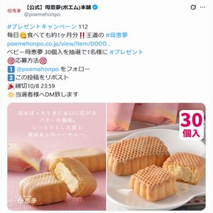 ベビー母恵夢 30個入