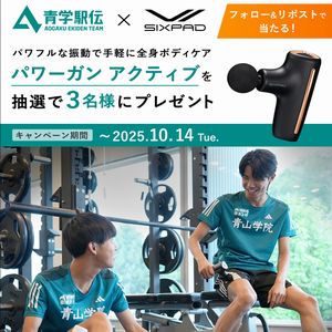 パワーガン アクティブ